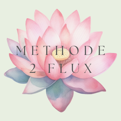 Méthode Signature des 2 Flux